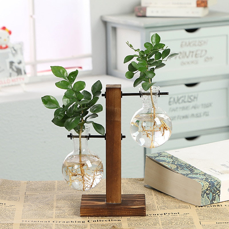 Plant Terrarium Vase with Wooden Stand