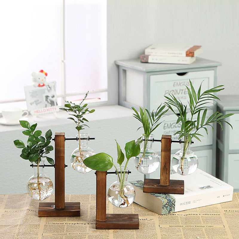 Plant Terrarium Vase with Wooden Stand