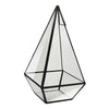 Pyramid Glass Terrarium