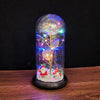 LED Christmas Decoration In Glass