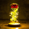 LED Christmas Decoration In Glass