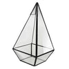 Pyramid Glass Terrarium